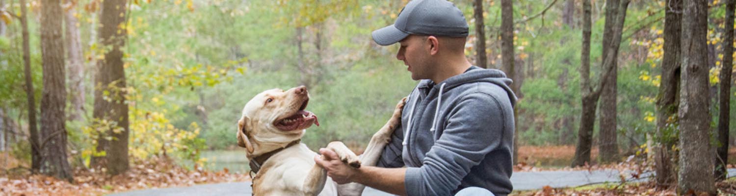 Adopt a Dog – Charleston Animal Society