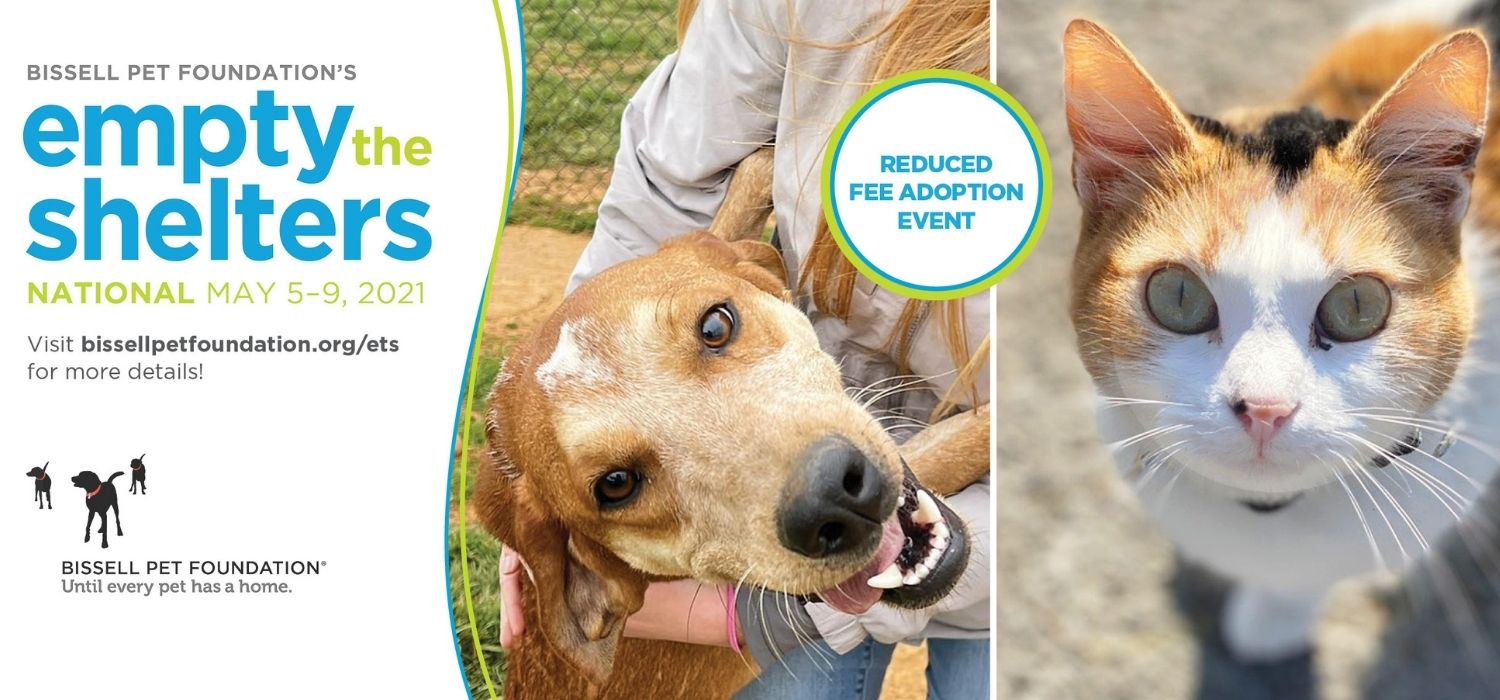BISSELL Pet Foundation Sponsors Reduced Adoption Fees Across the Country –  Charleston Animal Society