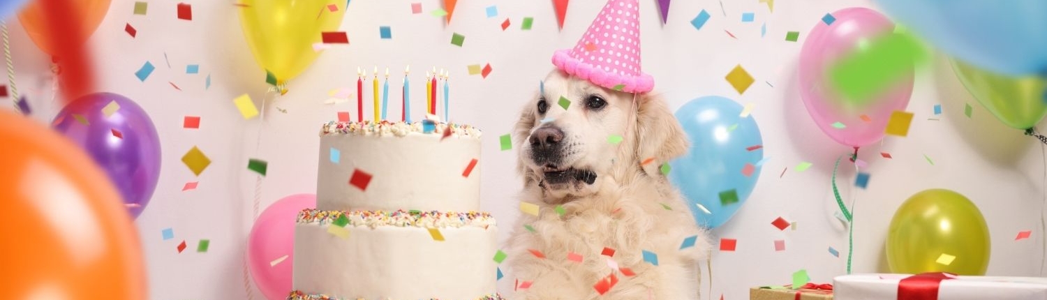 BIRTHDAY PARTIES – Charleston Animal Society