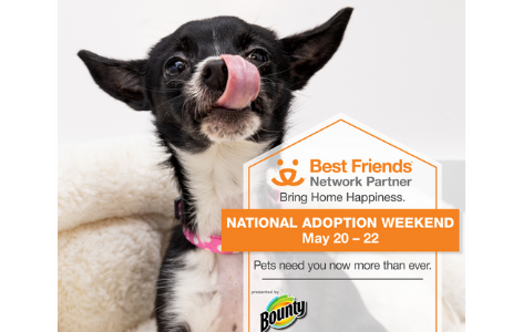 BEST FRIENDS NATIONAL ADOPTION WEEKEND – Charleston Animal Society
