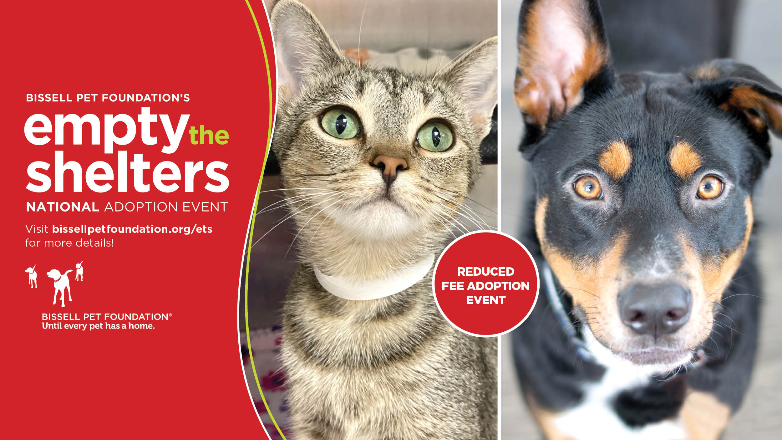 Bissell Pet Foundation's Empty the Shelters National Adoption Event –  Charleston Animal Society