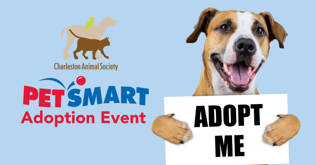 PetSmart National Adoption Week Charleston Animal Society