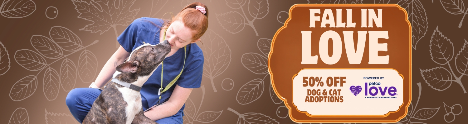 fb cover emergency free adoptions (820 x 360 px) (1500 x 400 px)